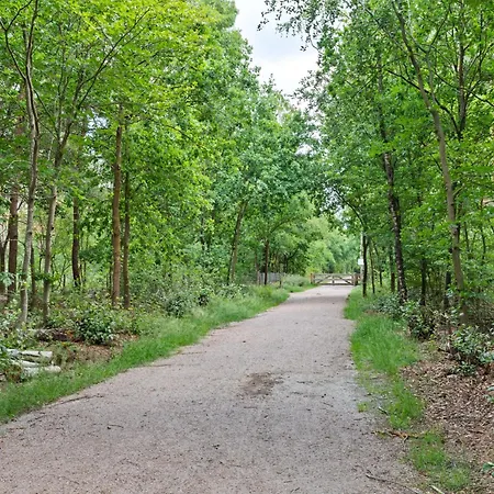 In Near Veluwe Park *