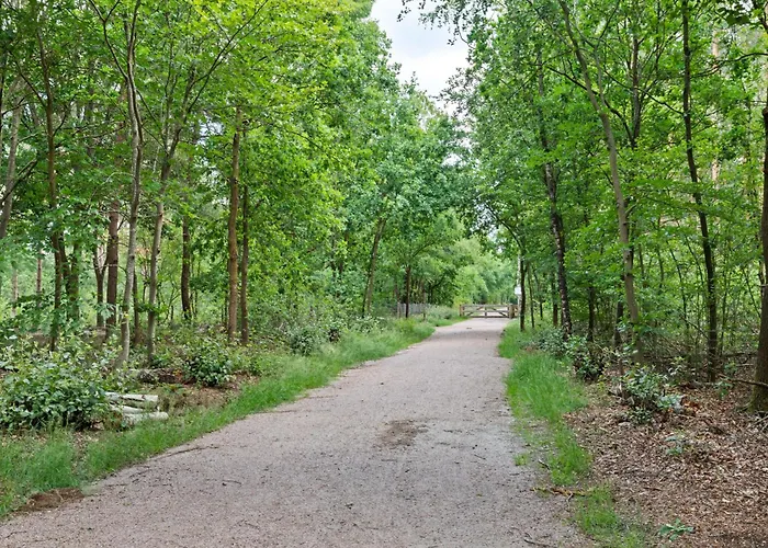 In Near Veluwe Park *