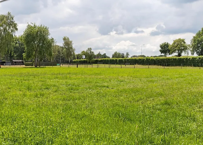 In Near Veluwe Park Putten